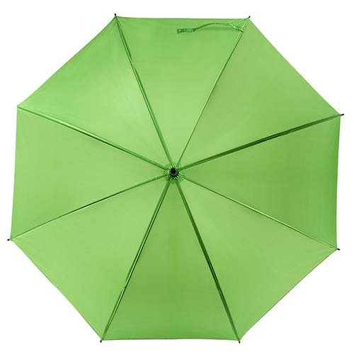 CC338-Verde